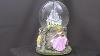 DISNEY'S DOGS Musical Photo Frame Snow Globe lots of dogs, great condition Snow Globe Disney